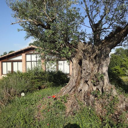 Veilhes Chalet Domaine De Combe Ramond酒店 外观 照片