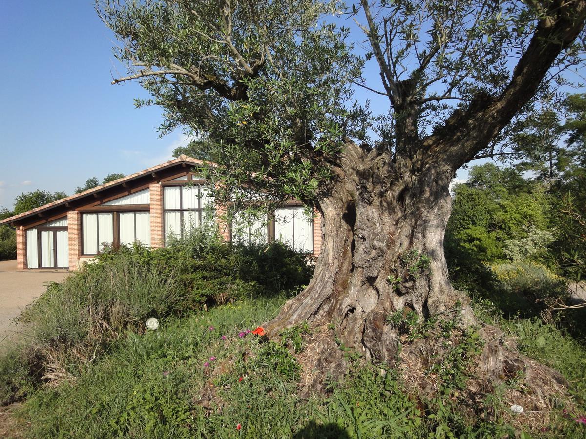 Veilhes Chalet Domaine De Combe Ramond酒店 外观 照片